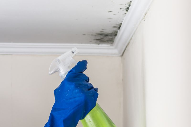 spraying mould remover onto a mouldy wall