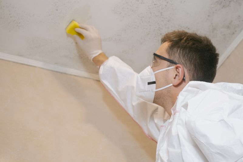 man cleaning mould from a ceiling