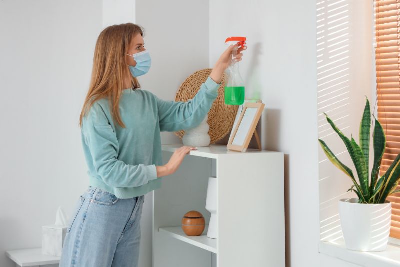 removing mould from a wall