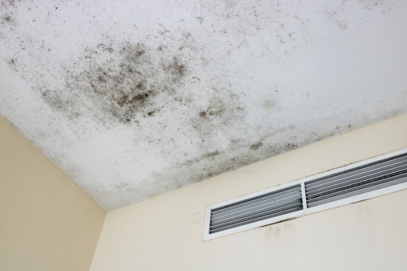 black mould on ceiling near vent
