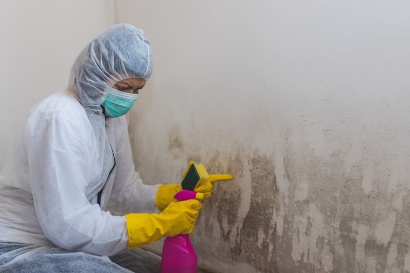 worker cleaning mould on a white wall