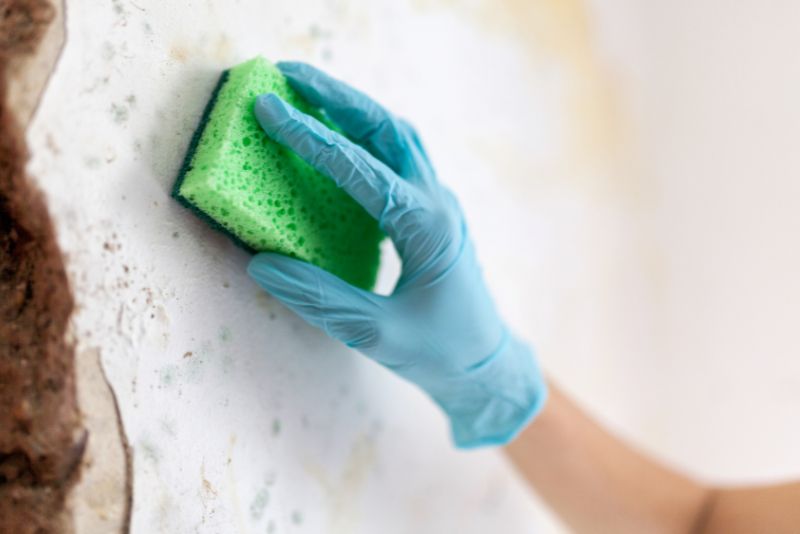 cleaning green mould on wall with a scouring pad