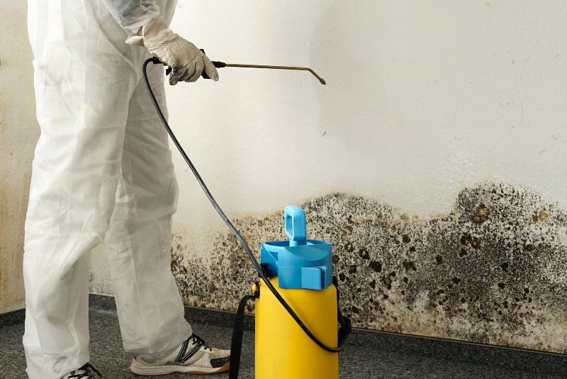worker in protective gear spraying mould killer on mouldy wall