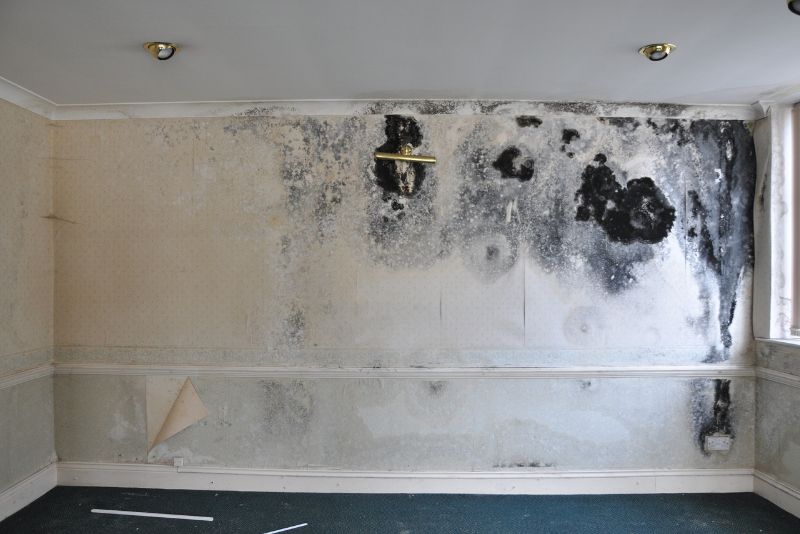 old house full of mould on the wall
