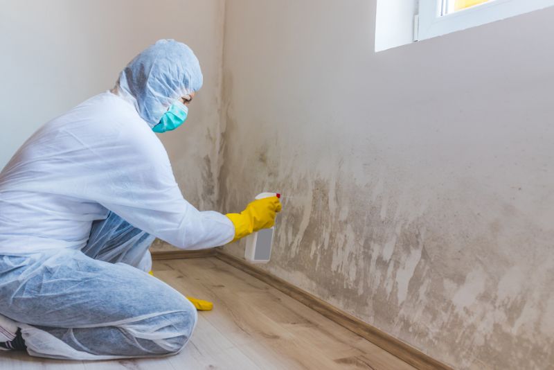 mould expert in protective gear spraying mould remover on mouldy wall