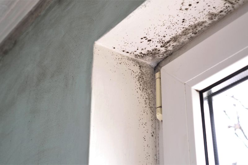 window corner with black mould