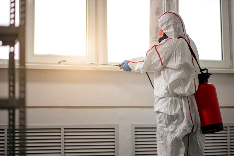 worker spraying mould killer on window sill